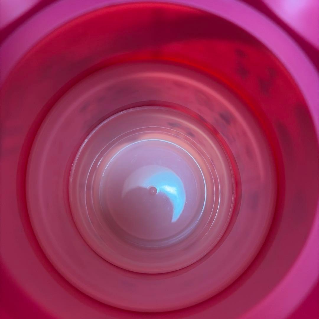 即日発送　パルパルーザ ミニー　ポップコーンバケット　ミニーのファンダーランド