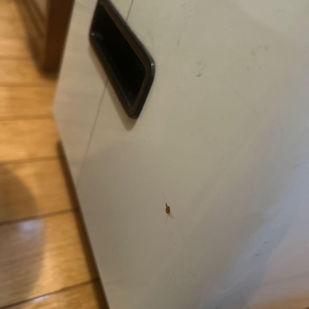 Lニーダー　生地こね　餅作りLADIES KNEADER 昭和レトロ