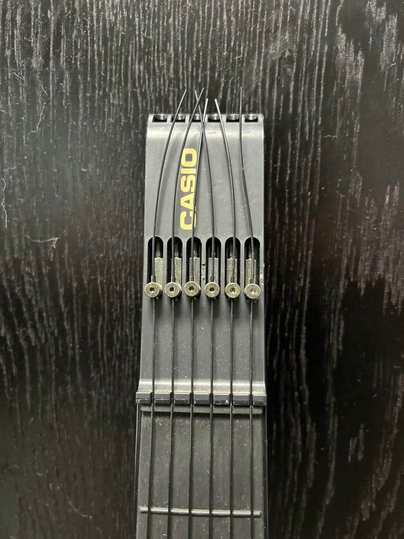 カシオ　DG-20 デジタルギター