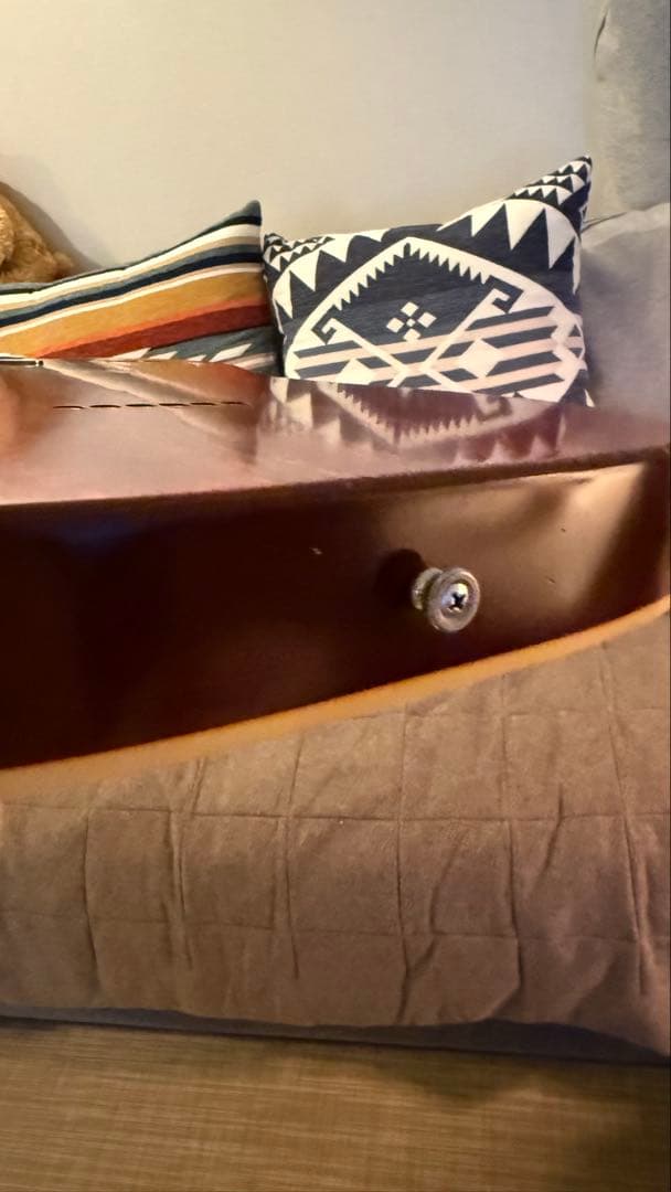 Bruno guitars tn−295 goldtop