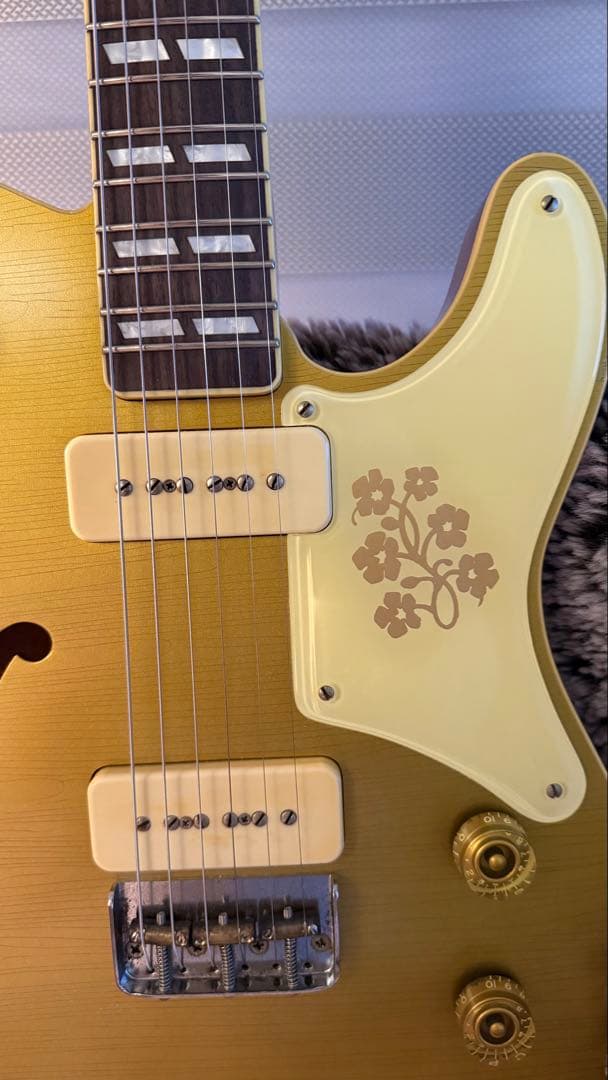 Bruno guitars tn−295 goldtop