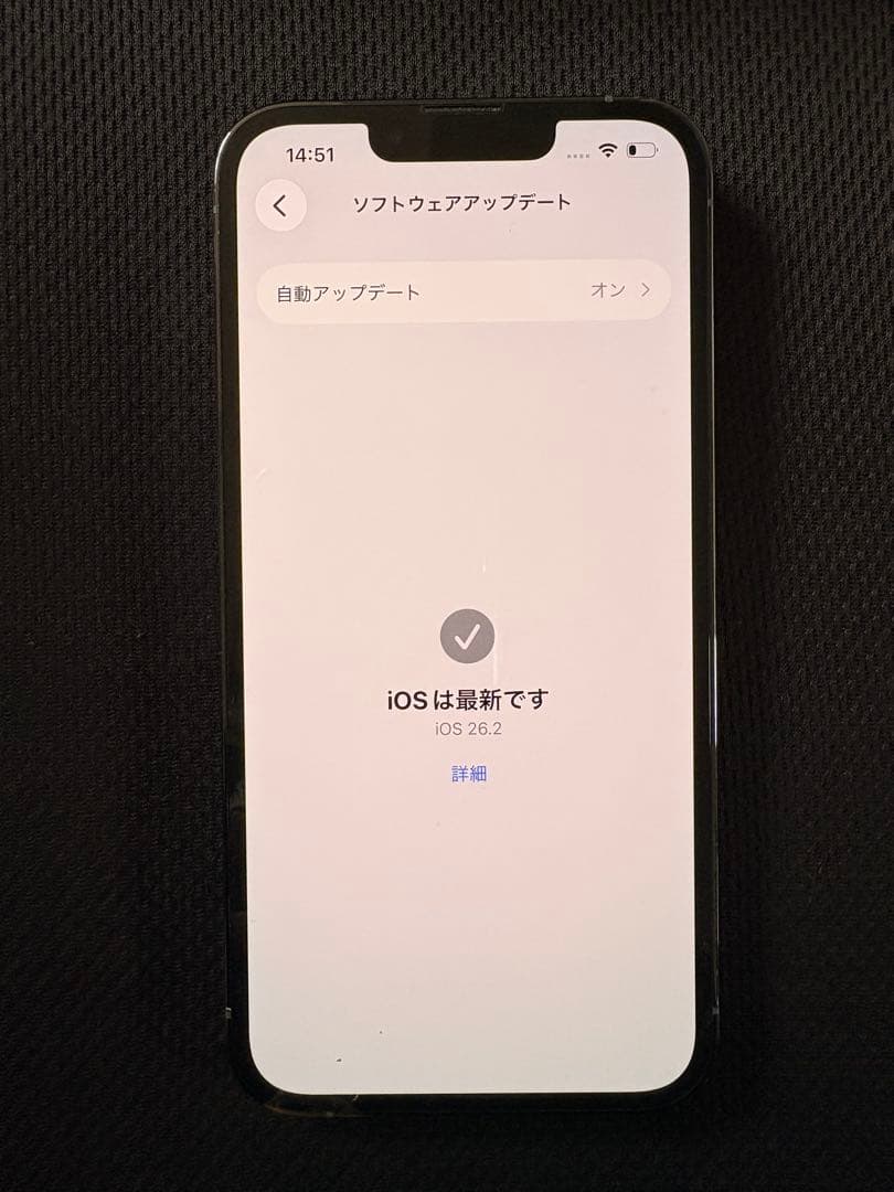 【てつじん】Apple iPhone 13 Pro 本体