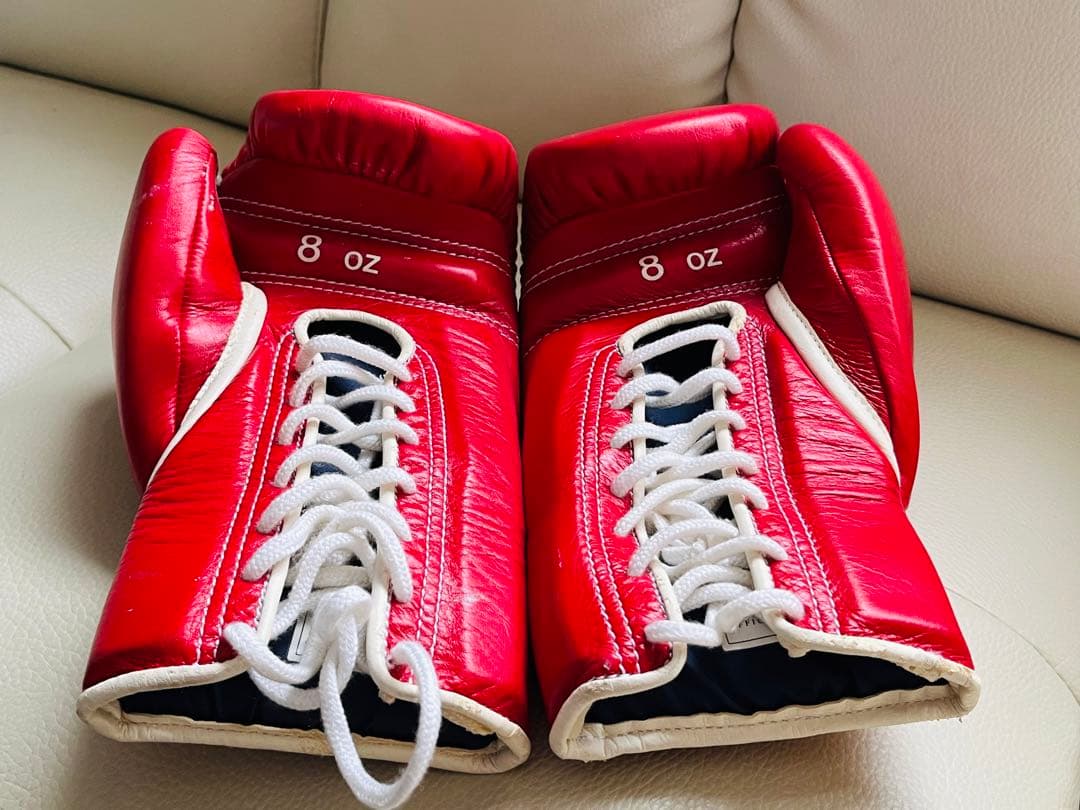 【レア品】Winning ボクシンググローブ 8oz 長谷川穂積さんサイン入り