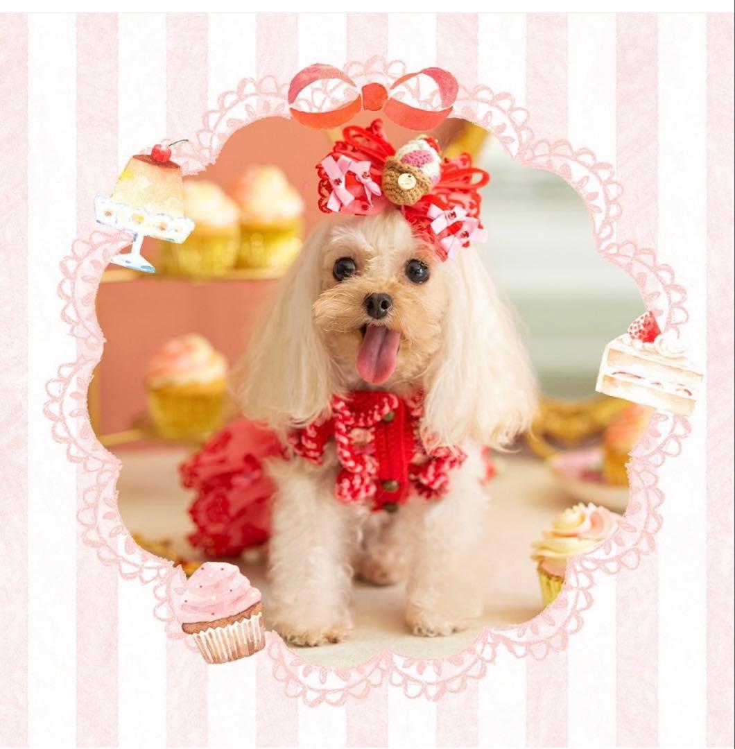 Pet a Portre (ペット ア ポルテ)Petit Gateau