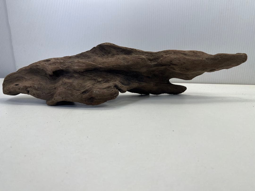 k42アク抜き済み流木 爬虫類シェルター レイアウト用 インテリア エアプランツ