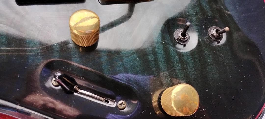 フェルナンデス　 サスティナー付き レフティ仕様