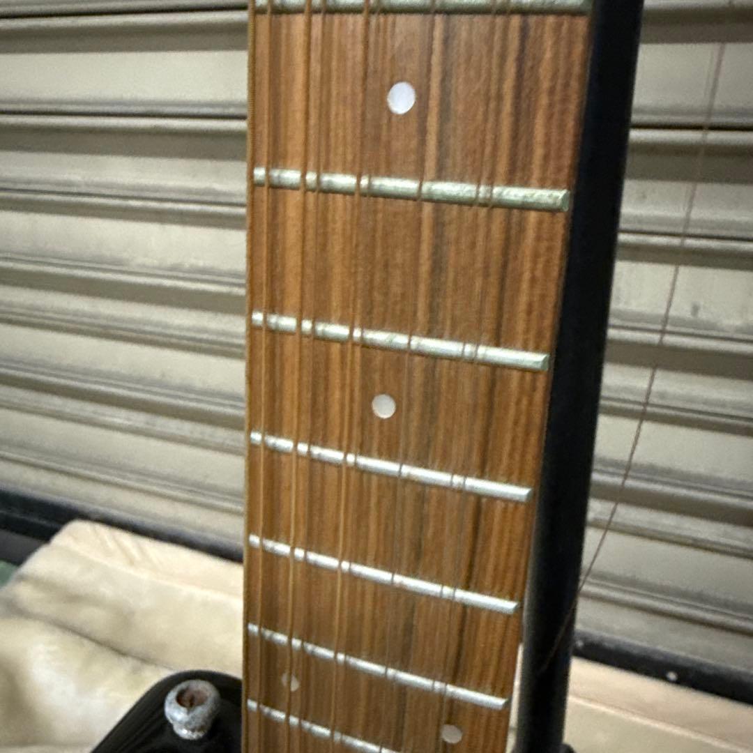 ギター Pignose PGG-TWIN