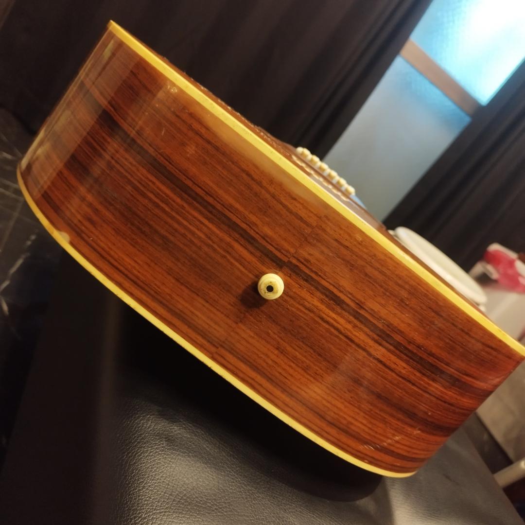 Aria ＆ co アコースティックギター　W-200