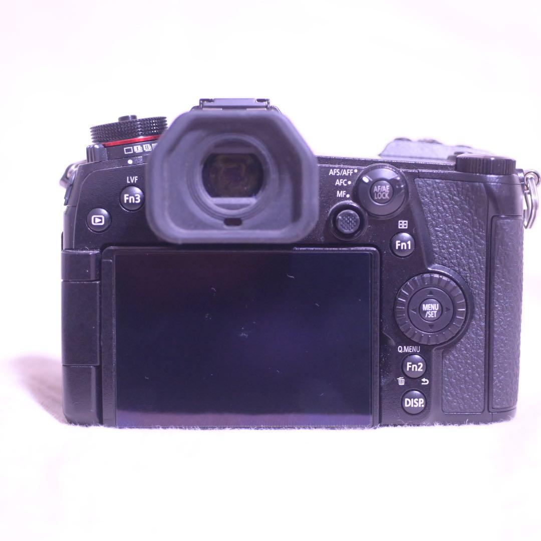 LUMIXG9 PRO ショット数　135回