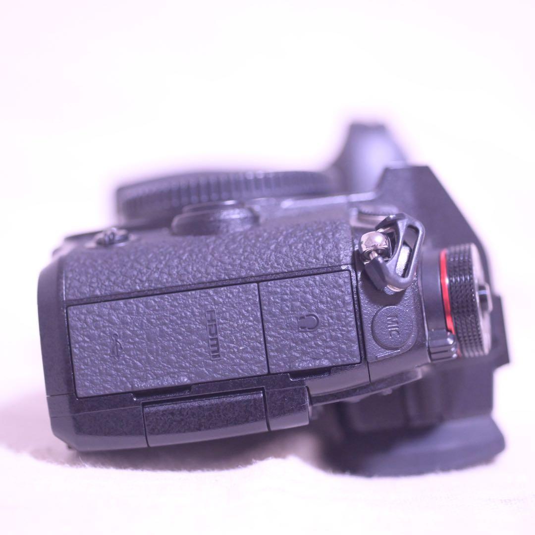 LUMIXG9 PRO ショット数　135回