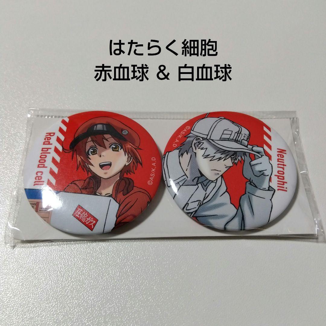 【はたらく細胞】白血球＆赤血球 缶バッジセット