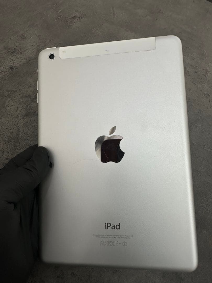 iPad本体 iPad Mini 2
