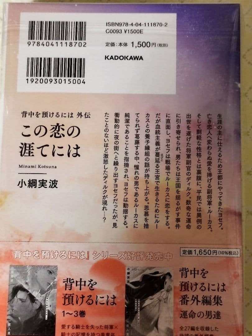 未読 ✿ 背中を預けるには　この恋の涯てには ✿ 小綱実波　BL