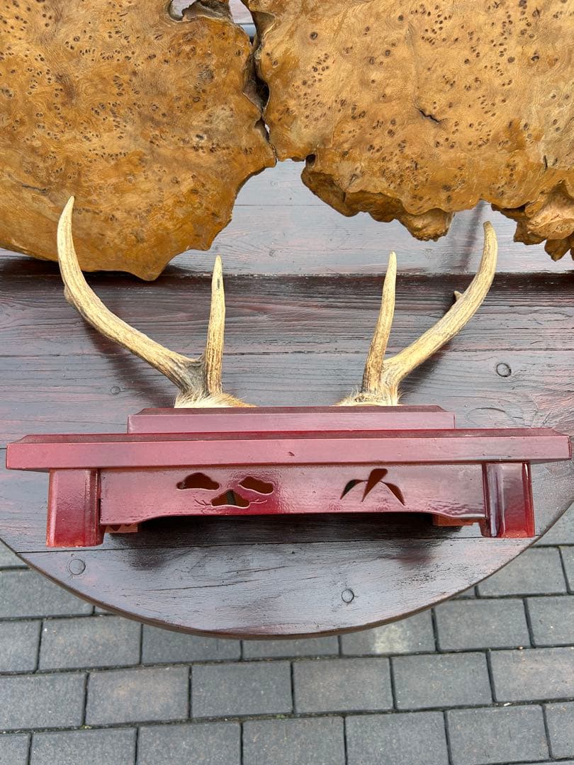 模造刀　刀掛け　天然鹿角台座付き