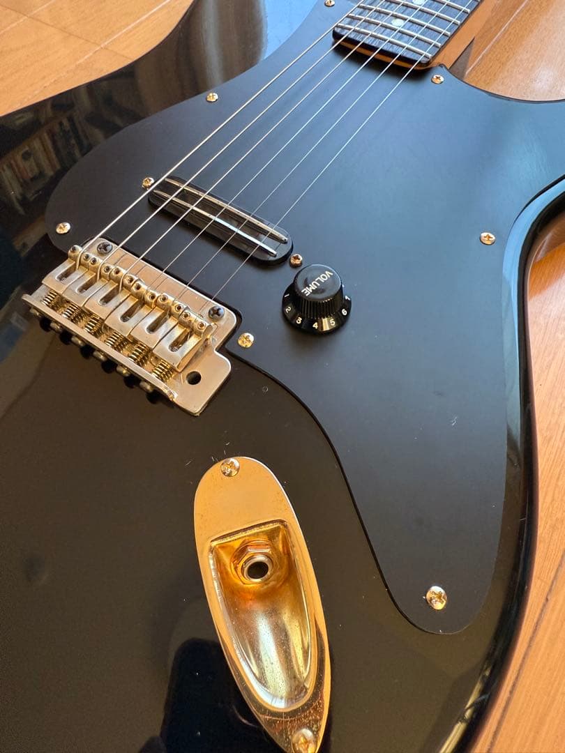 ✨レア美品中古✨Bill Lawrence OBC0 R-55G改 シャケモデル