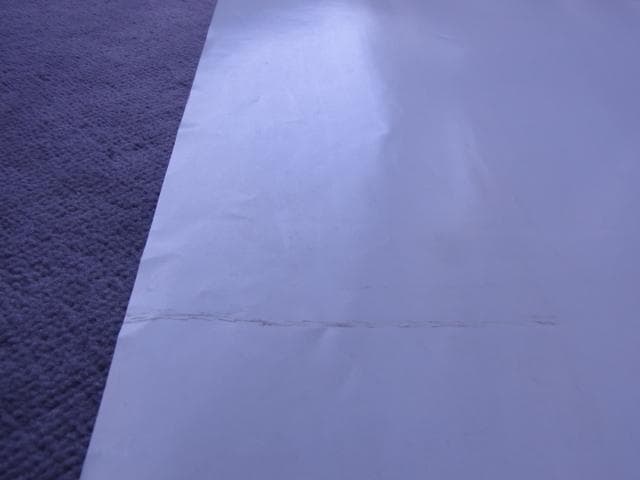 未使用品　非売品　ポスター　ヒロ・ヤマガタ　森の蝶々　アート　山形博導