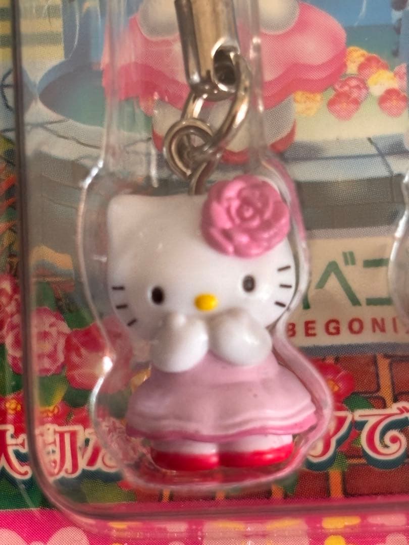 激レア❣️未使用未開封❗️ご当地キティ神奈川 箱根ベゴニア園2006