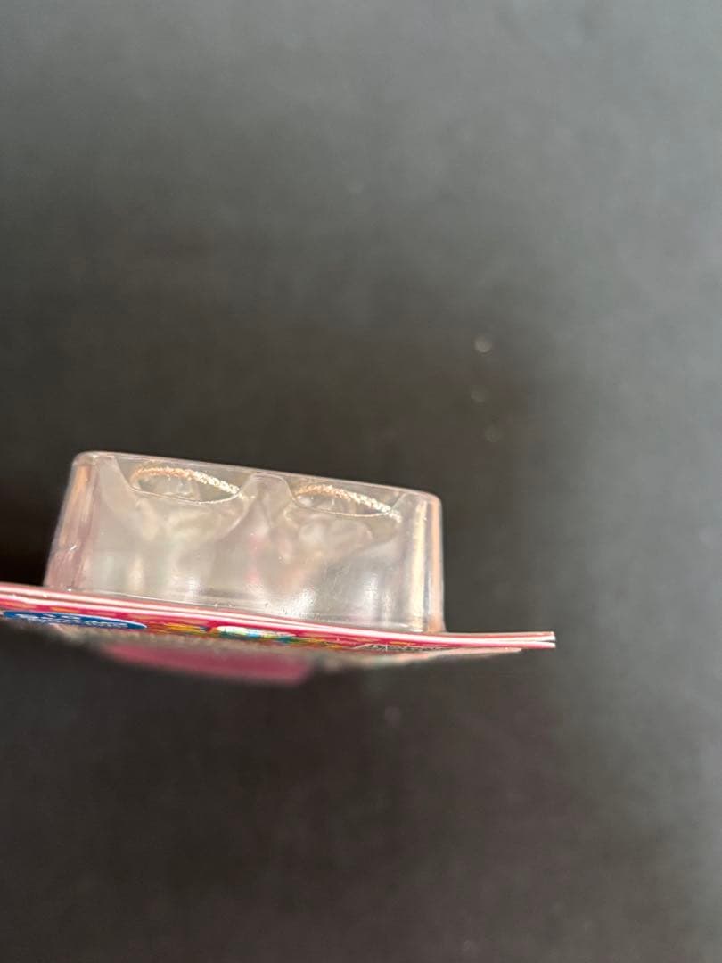 激レア❣️未使用未開封❗️ご当地キティ神奈川 箱根ベゴニア園2006