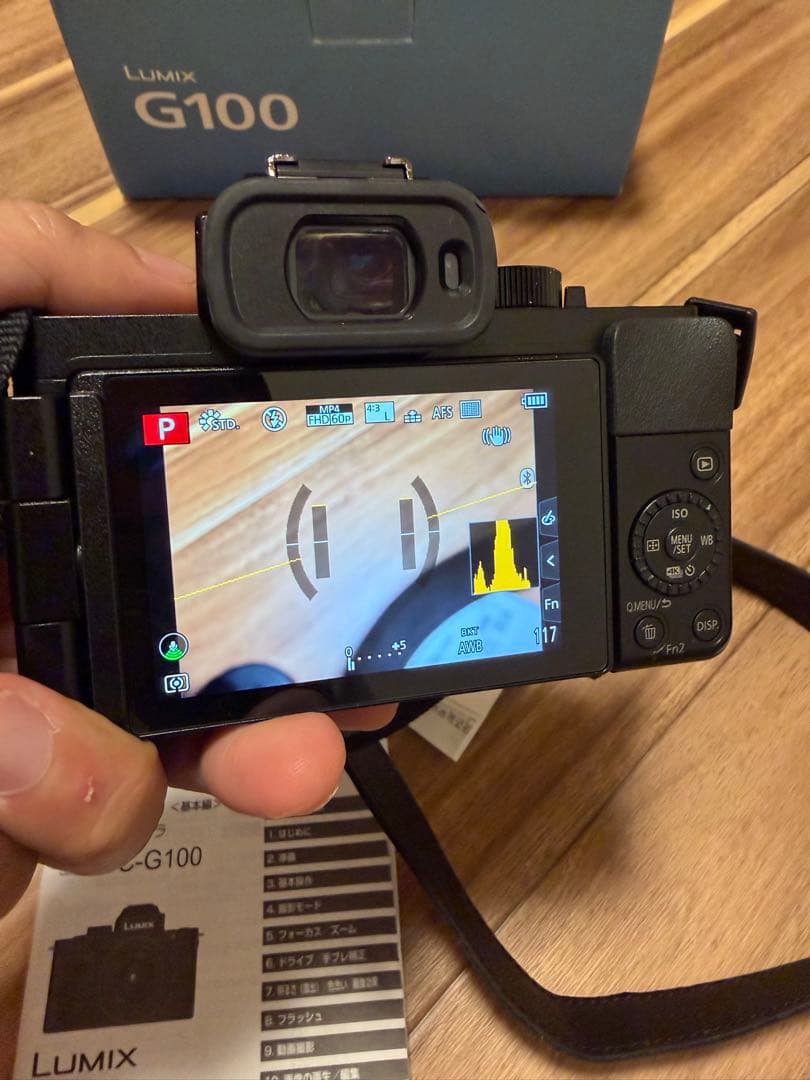 Panasonic DC-G100V ミラーレスカメラ