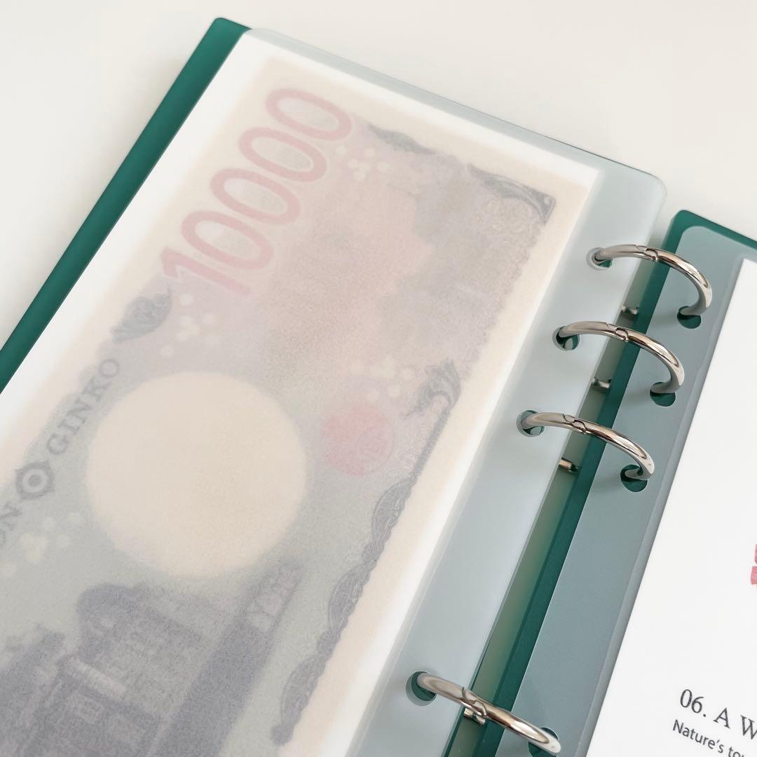 早い者勝ち　韓国　貯金　アクリル　バインダー　カバー　リフィル　クリスマス　緑