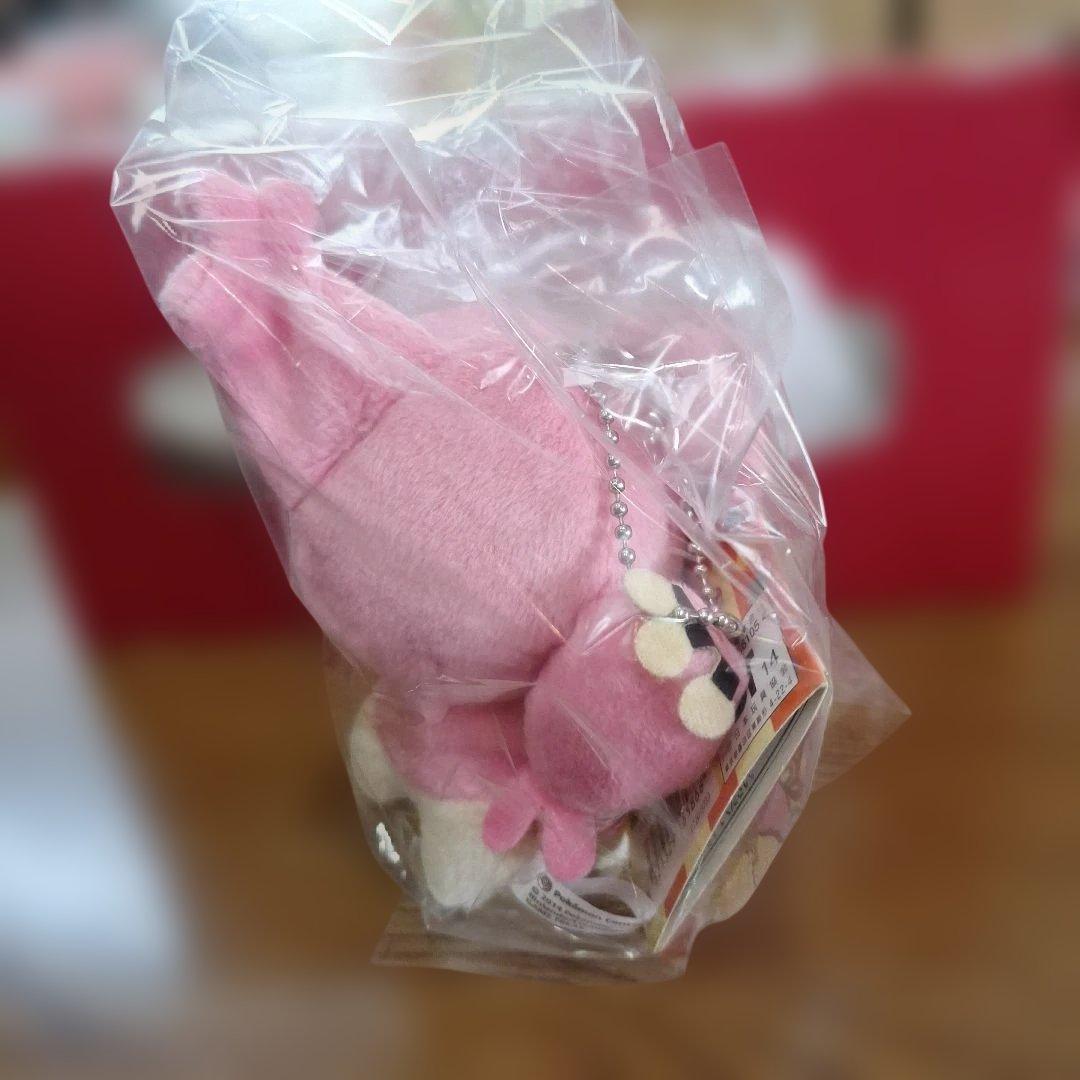 全てタグ付き　Pokémon　petit　マスコット　ぬいぐるみ　まとめ