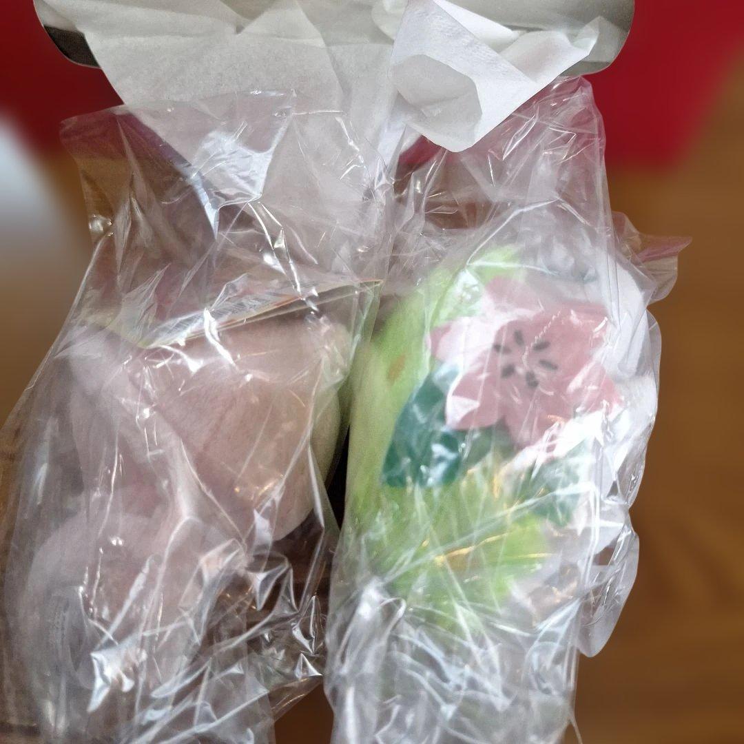 全てタグ付き　Pokémon　petit　マスコット　ぬいぐるみ　まとめ