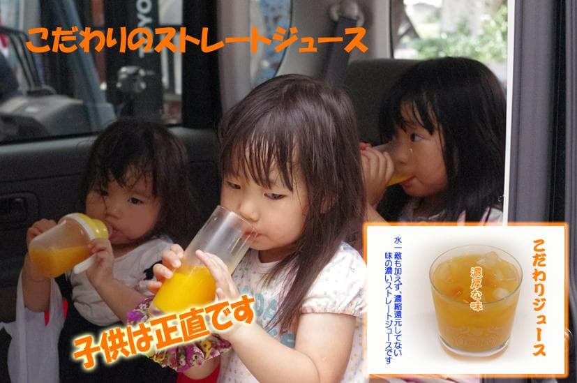 濃縮還元してない・みかんジュース1000ｍｌ×12本　濃厚美味！