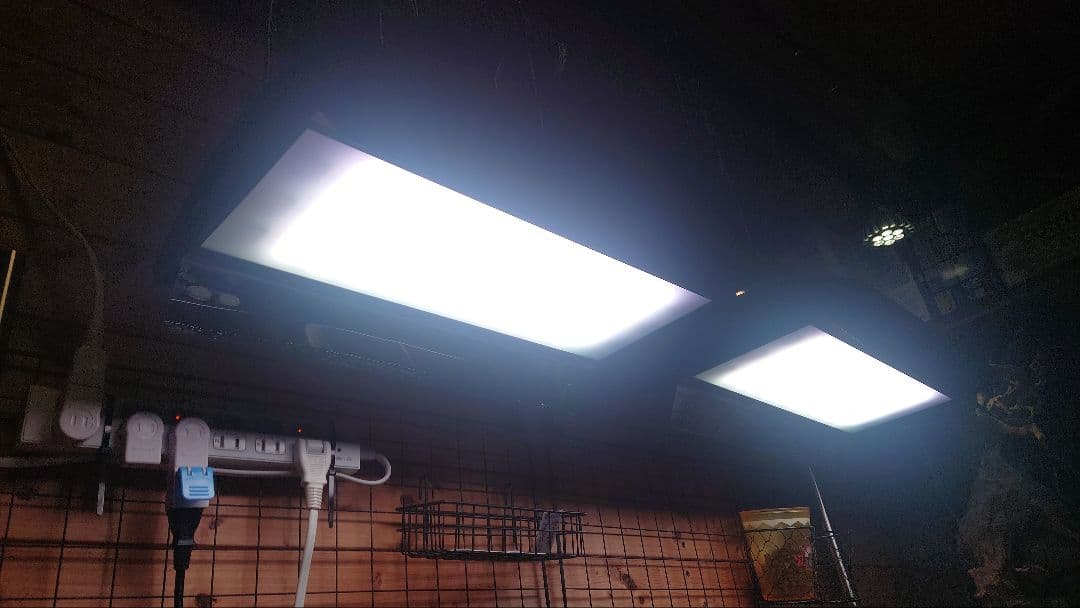 ADA ソーラーRGB リミテッドエディション　ブラック　2台セット