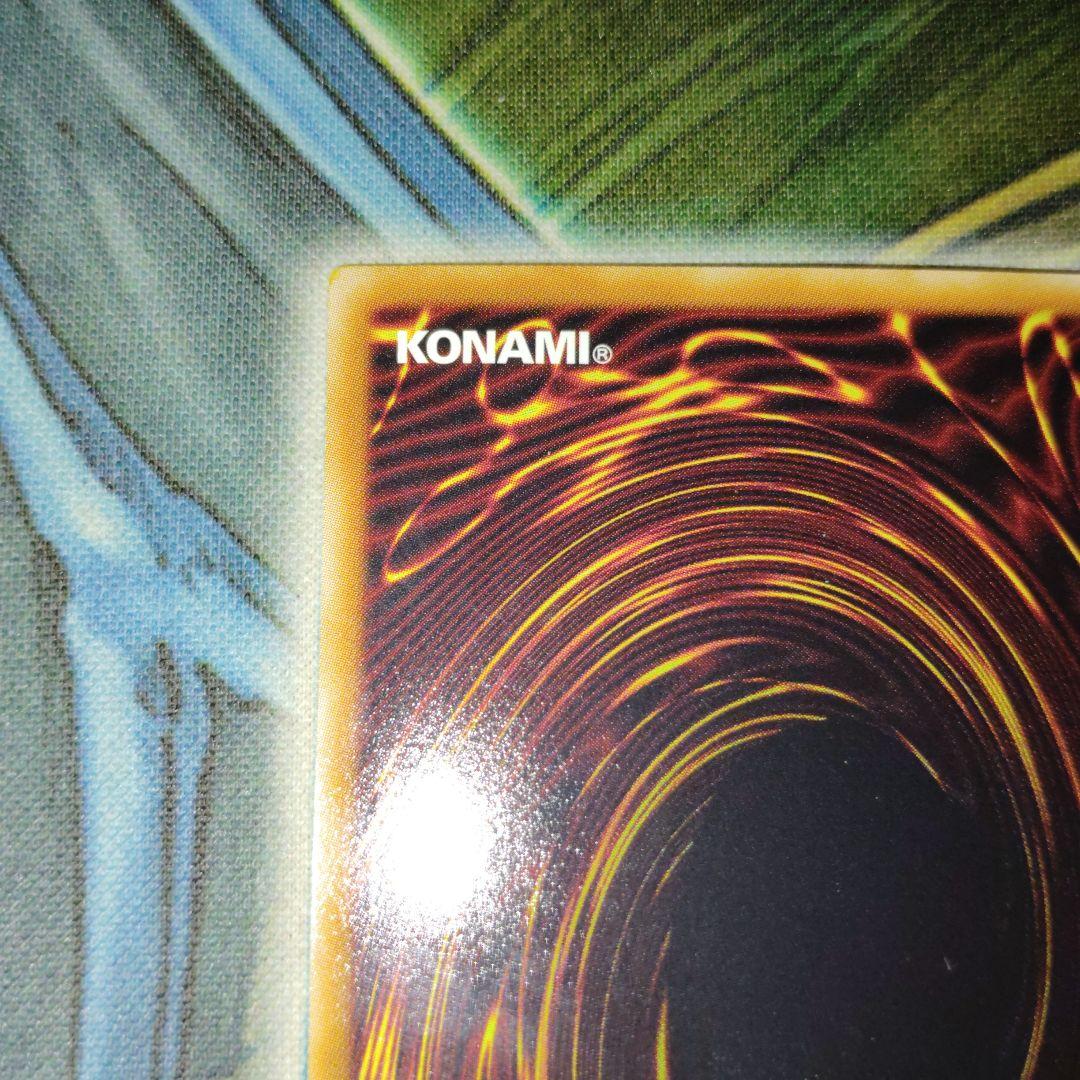 遊戯王 ブラックローズドラゴン ホログラフィック