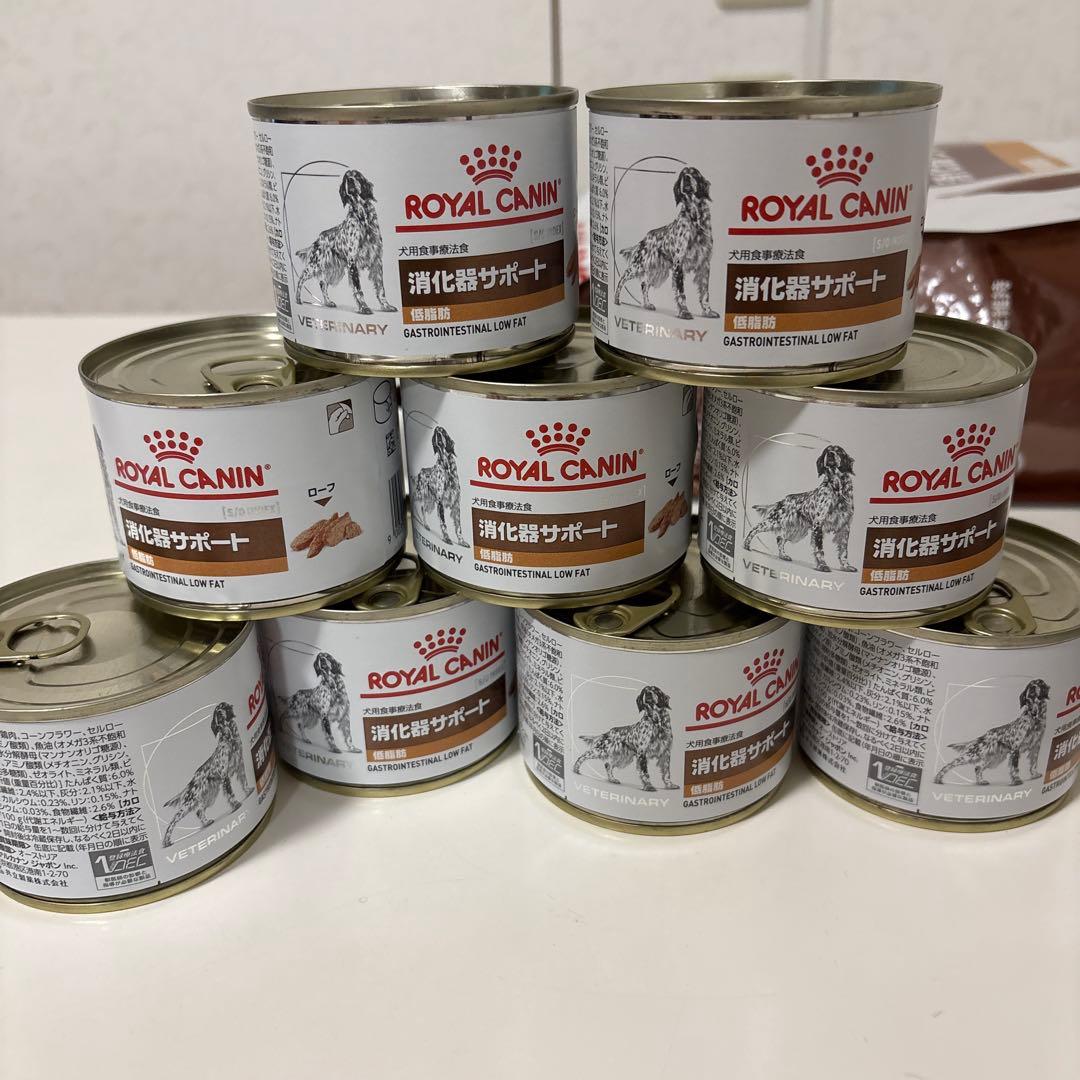  CANIN 消化器サポート 3kg + 缶詰21個