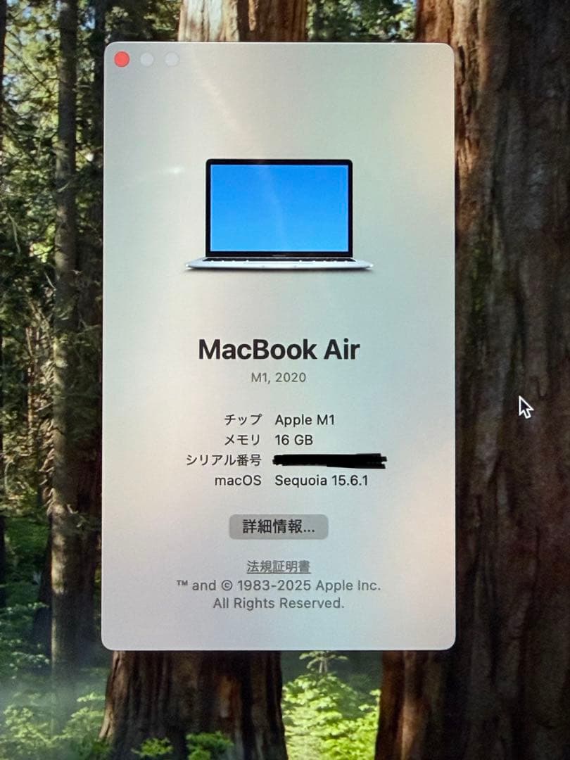 Apple MacBook Air (M1, 2020) シルバーJIS