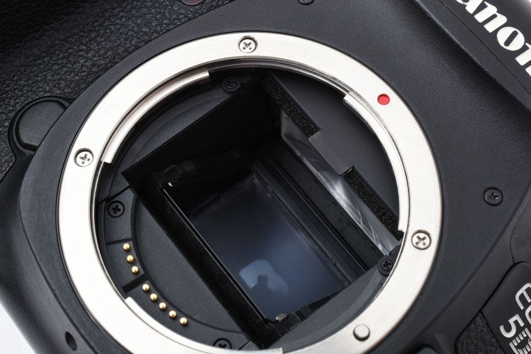 付属品付き/Canon EOS 5D mark III望遠レンズセット