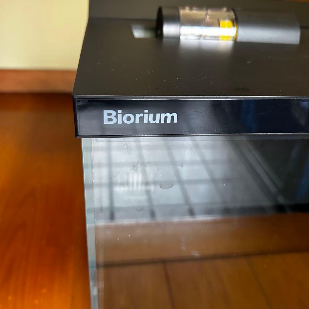 Biorium IoT搭載 クリアガラス 自動給餌機