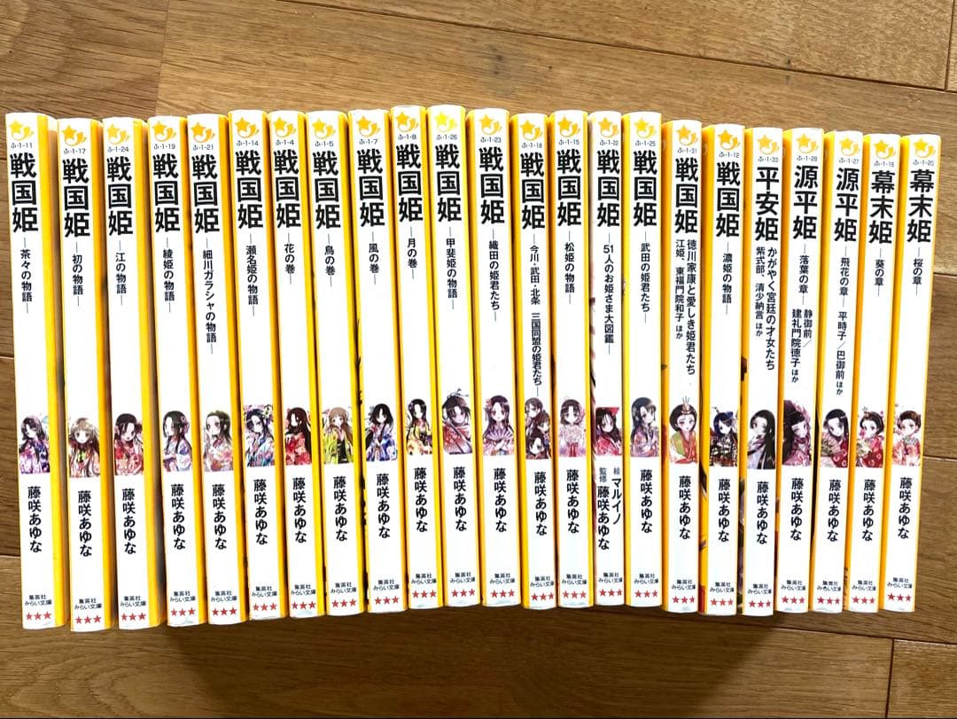 戦国姫シリーズ　23冊セット