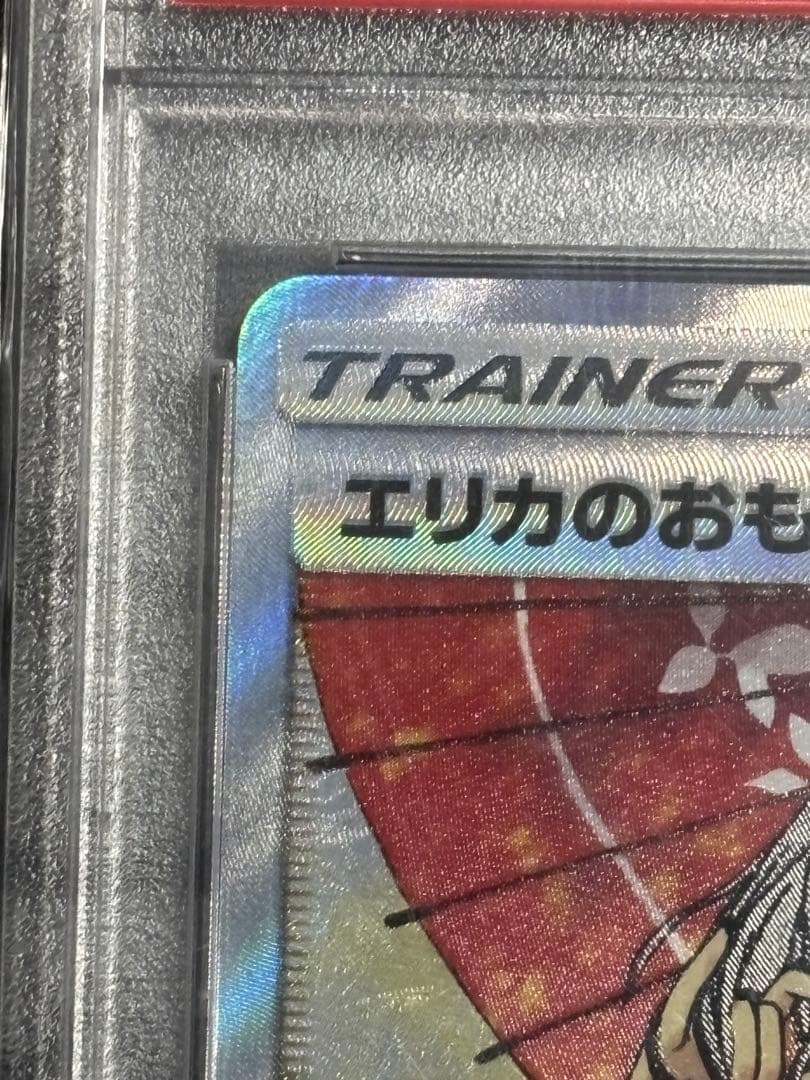エリカのおもてなし PSA10