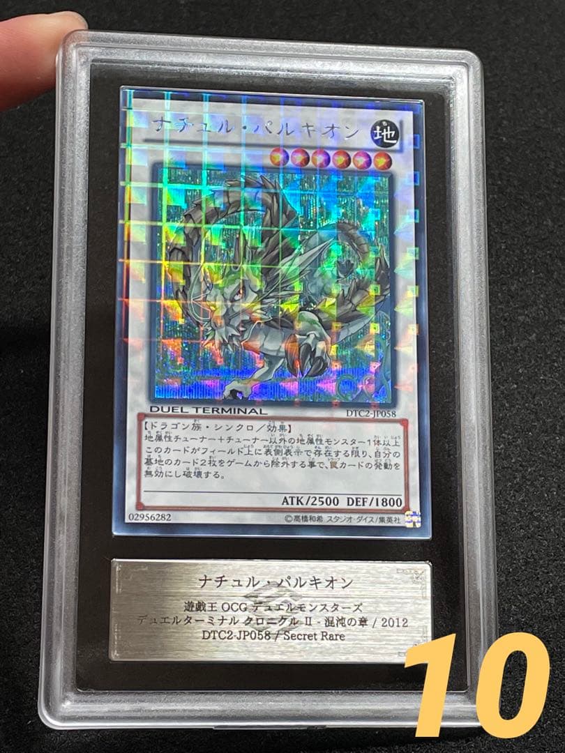 【ARS鑑定 10】ナチュルパルキオン　DTC シークレットレア　貴重！