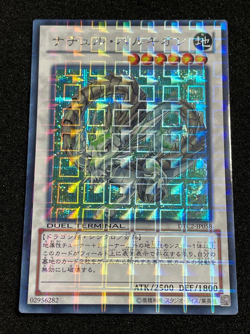 【ARS鑑定 10】ナチュルパルキオン　DTC シークレットレア　貴重！