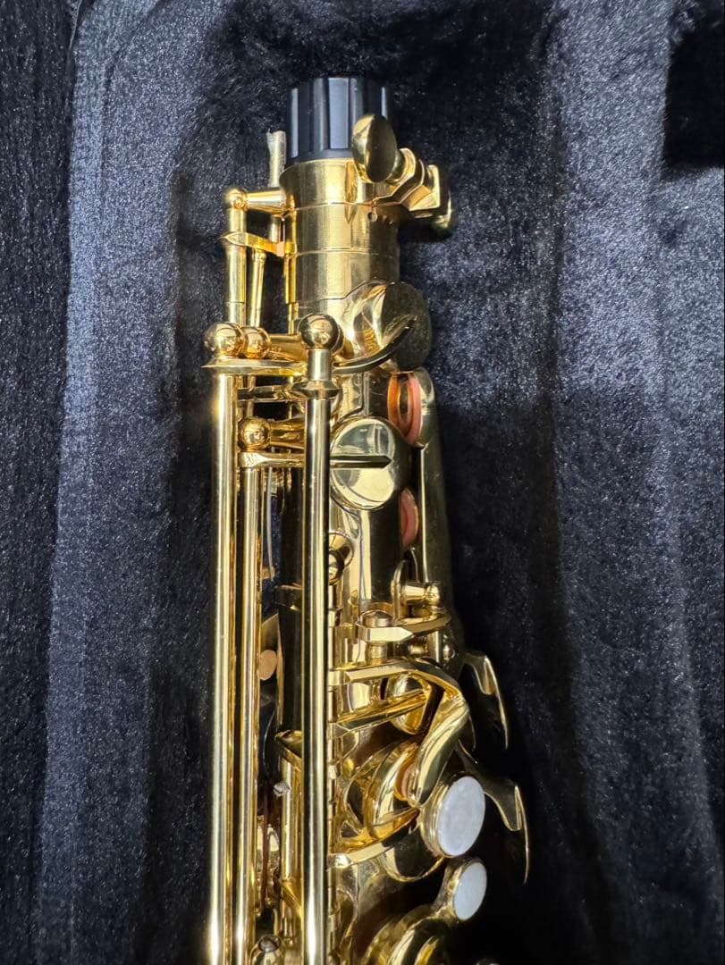 Ｊ.Michael アルトサックスAL500セミハードケース付き