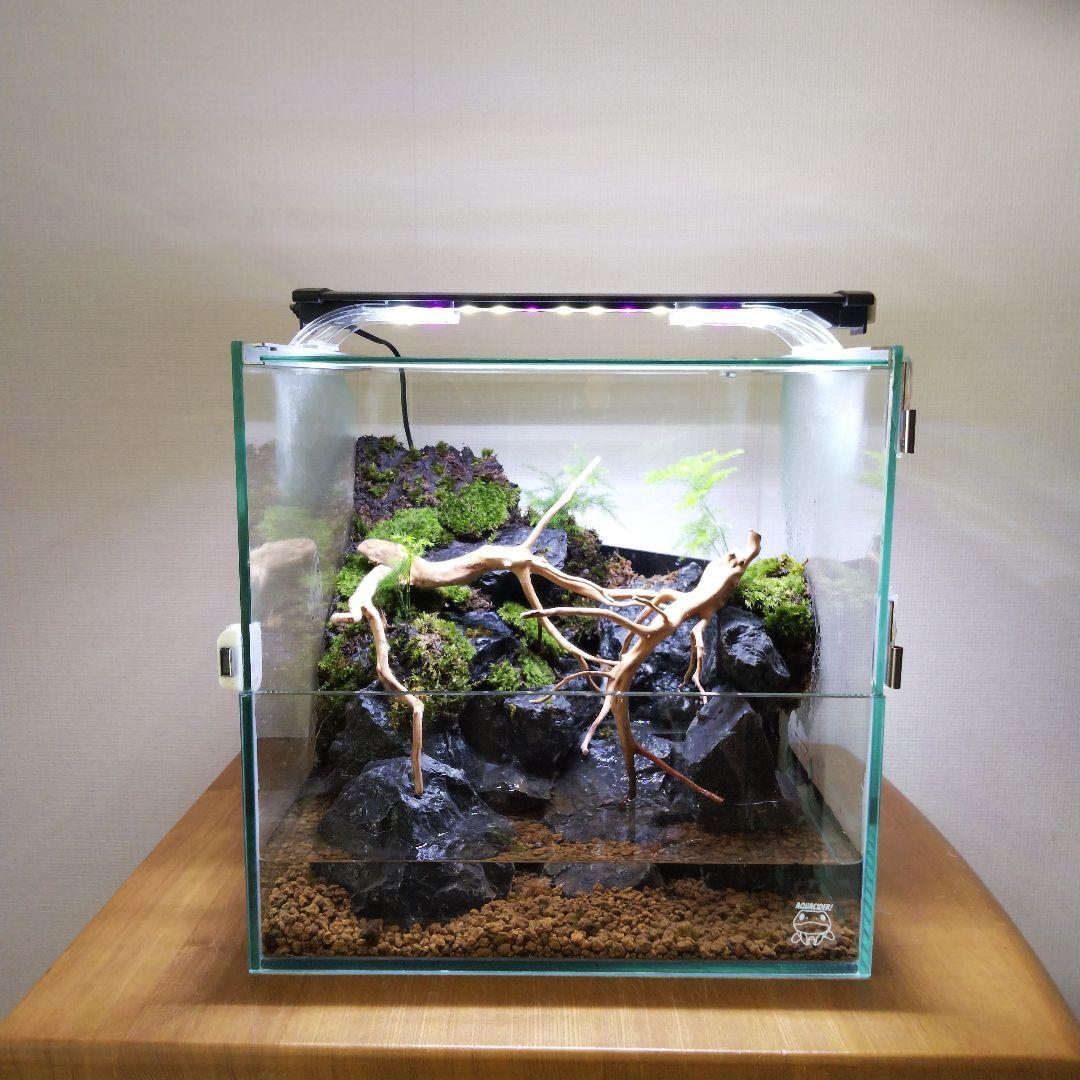 アクアテラリウム完成品 イモリウム 苔テラリウム 滝のあるアクアテラリウム