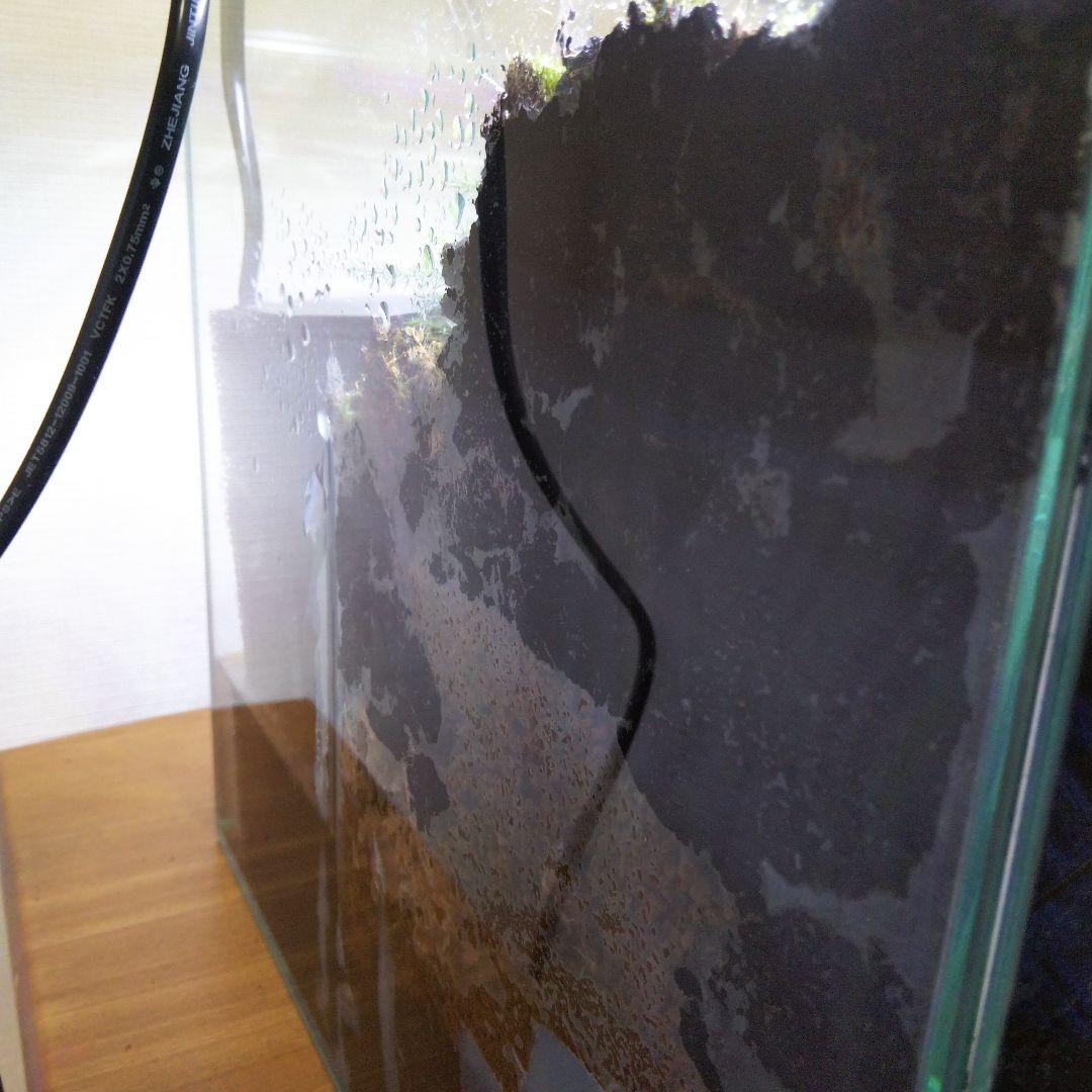 アクアテラリウム完成品 イモリウム 苔テラリウム 滝のあるアクアテラリウム