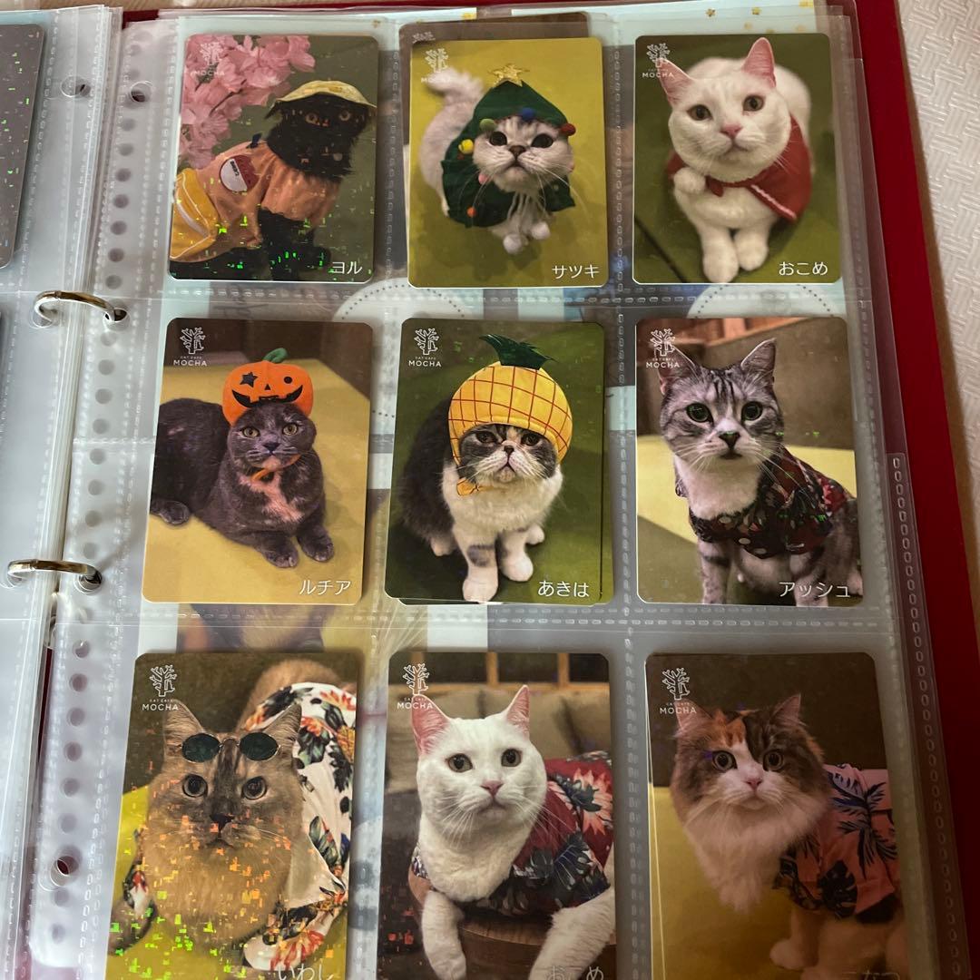 【バラ売り可】猫カフェmocha　トレカ　秋葉原店　2025秋　過去トレカあり
