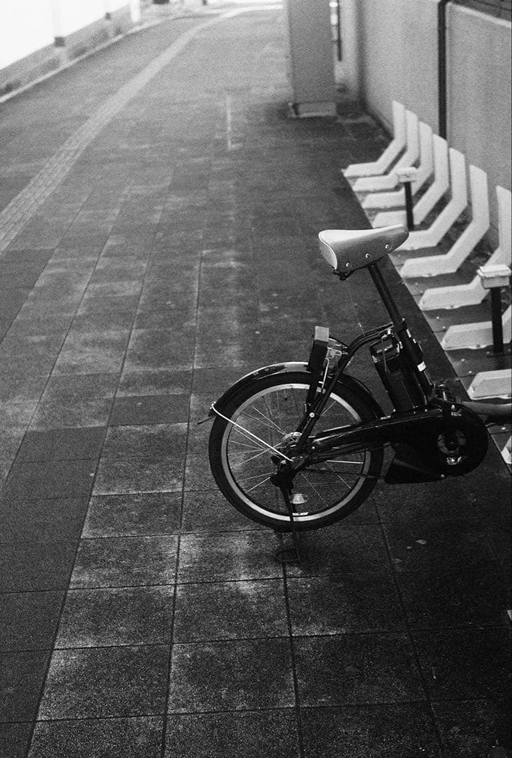 ツ*グ様 Leica Summarit M 50mm f1.5 ズマリット Mマ