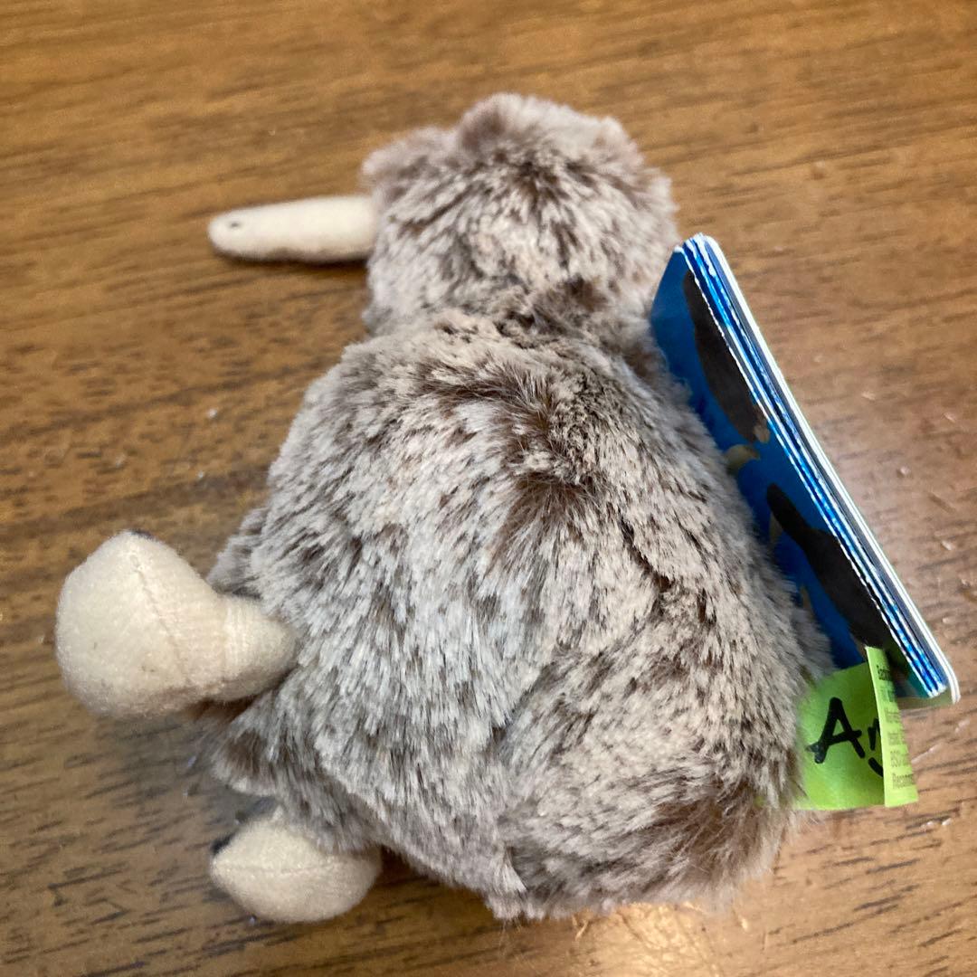 ブラウンキウイ　バード　ぬいぐるみ　新品未使用