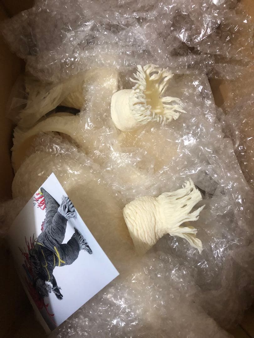 お*パ様 42cm アス工房 アレイド ウルトラシ 怪獣酋長 ジェロニモン ウル