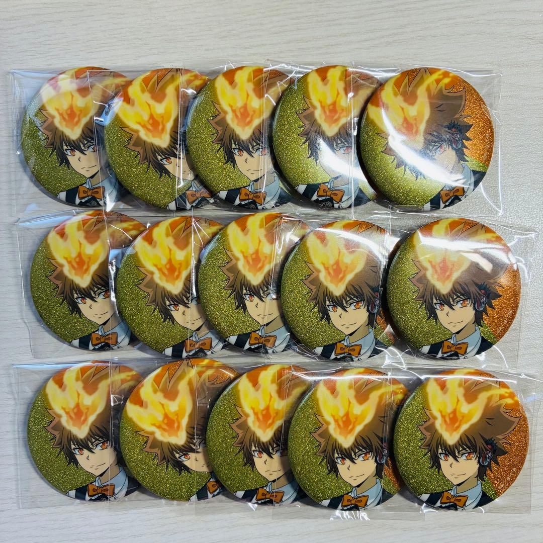 REBORN 沢田綱吉 カジノ アニメイトフェア グリッター缶バッジ 15点