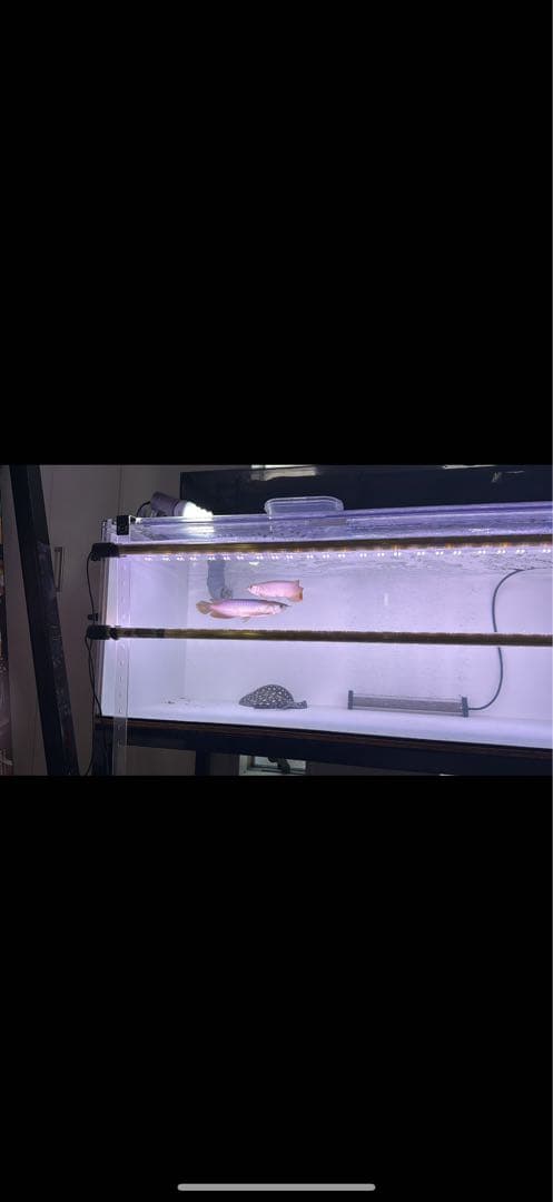 煌　紅龍用水中LEDライト　120cm水槽用