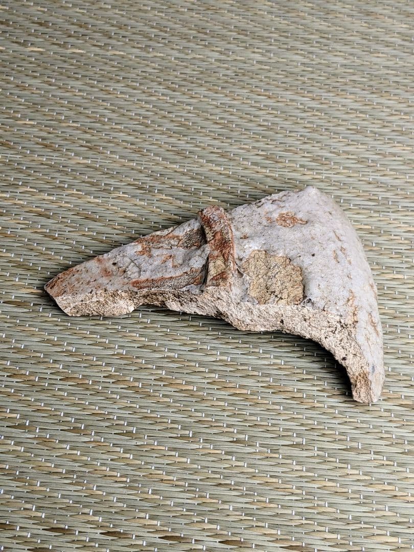 陶片　絵志野藤文鉢　桃山時代　　志野陶片　志野鉢　絵志野　桃山陶　金継ぎ