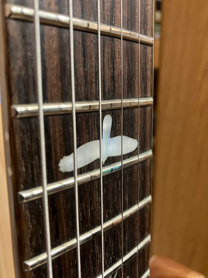 ギター PRS SE CUSTOM24 Trampas Green