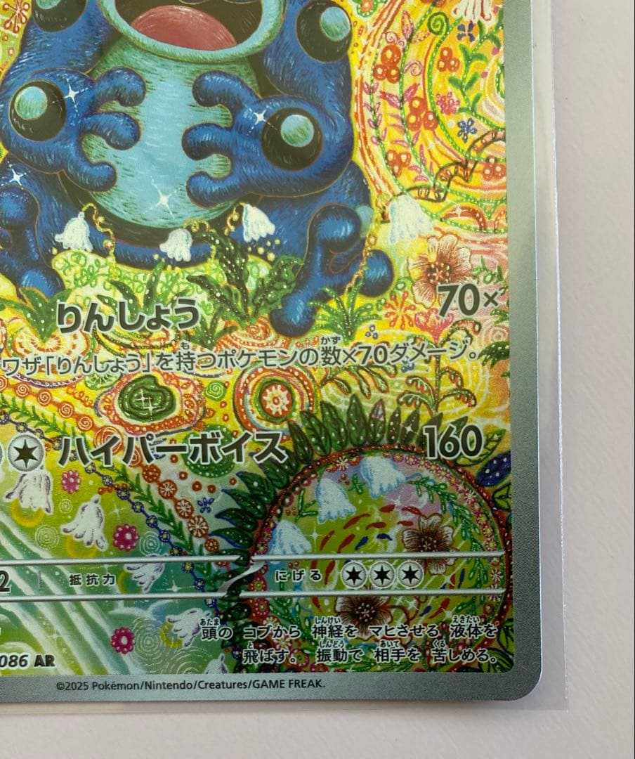 フシギバナ EX セット5枚