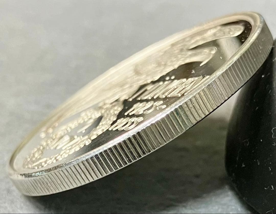 血の勲章　純銀　メダル